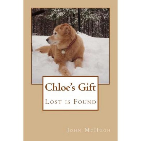 Chloe''s Gift: Lost Is Found Paperback, Jennie Cooper Press