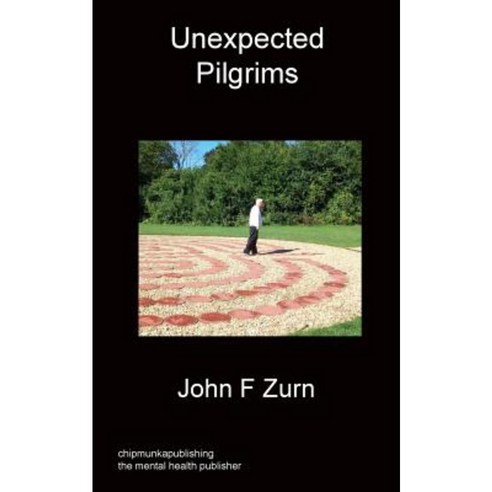 Unexpected Pilgrims Paperback, Chipmunka Publishing