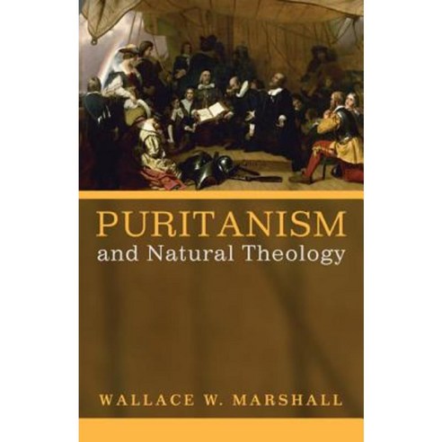 Puritanism and Natural Theology Paperback, Pickwick Publications
