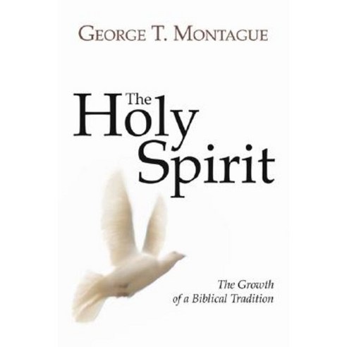 The Holy Spirit: Growth of a Biblical Tradition Paperback, Wipf & Stock Publishers