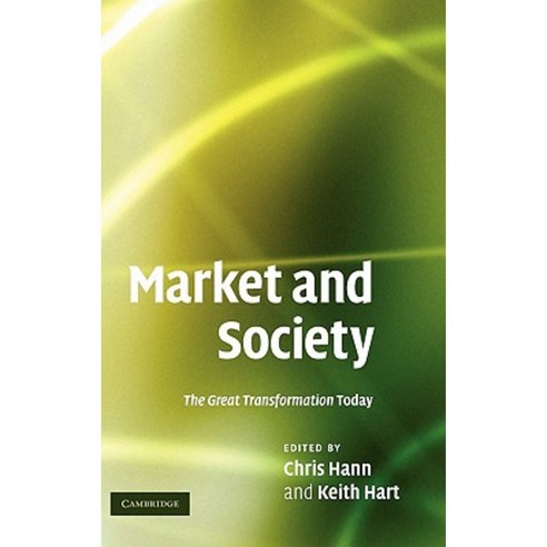 Market and Society: The Great Transformation Today Hardcover, Cambridge University Press