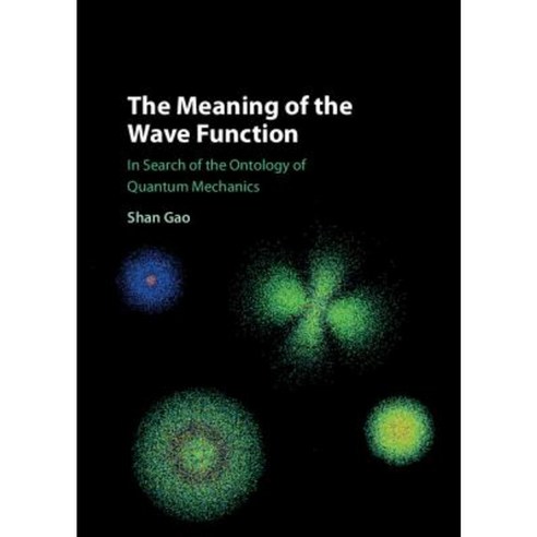 The Meaning of the Wave Function: In Search of the Ontology of Quantum Mechanics Hardcover, Cambridge University Press