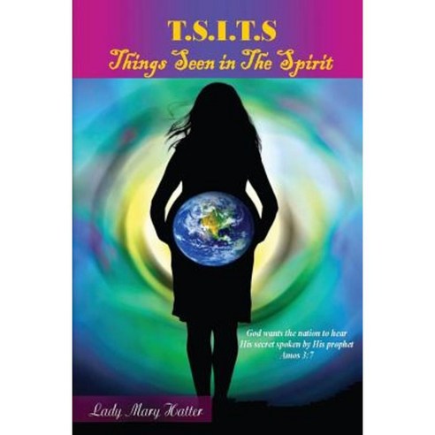 T.S.I.T.S.: Things Seen in the Spirit Paperback, Fideli Publishing Inc.