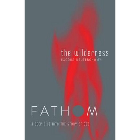 Fathom Bible Studies: The Wilderness Student Journal: A Deep Dive Into the Story of God Paperback, Abingdon Press