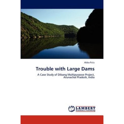 Trouble with Large Dams Paperback, LAP Lambert Academic Publishing