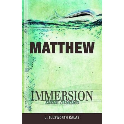 Immersion Bible Studies: Matthew Paperback, Abingdon Press