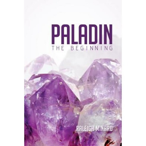 Paladin: The Beginning Paperback, Dorrance Publishing Co.