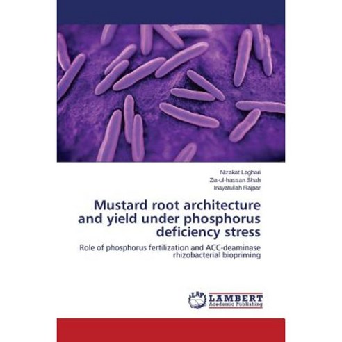 Mustard Root Architecture and Yield Under Phosphorus Deficiency Stress Paperback, LAP Lambert Academic Publishing