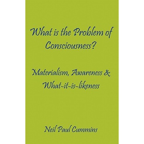 What Is the Problem of Consciousness?: Materialism Awareness & What-It-Is-Likeness Paperback, Cranmore Publications