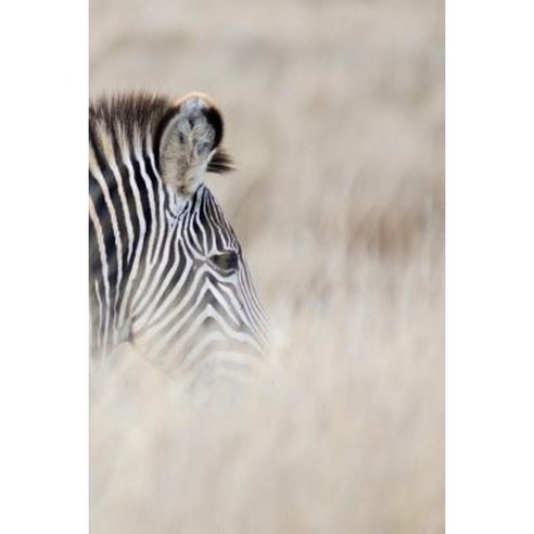 Alive! Zebra Stripes - Natural - Photo Art Notebooks (6 X 9 Series) Paperback, Blurb