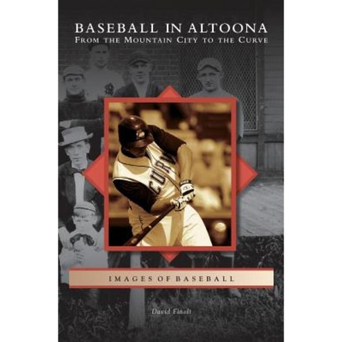 Baseball in Altoona: From the Mountain City to the Curve Hardcover, Arcadia Publishing Library Editions