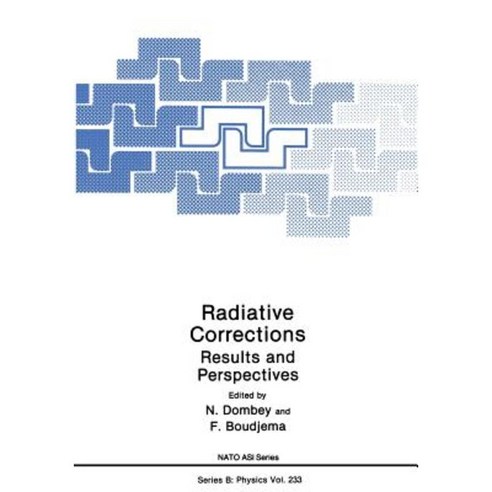 Radiative Corrections: Results and Perspectives Paperback, Springer