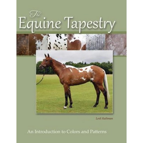 The Equine Tapestry: An Introduction to Colors and Patterns Hardcover, Blackberry Lane Press LLC