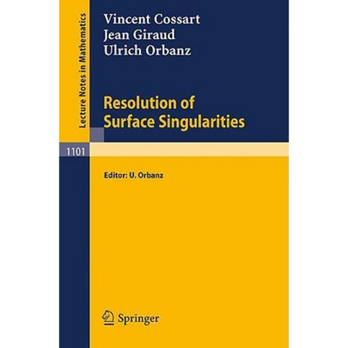 Resolution of Surface Singularities: Three Lectures Paperback, Springer