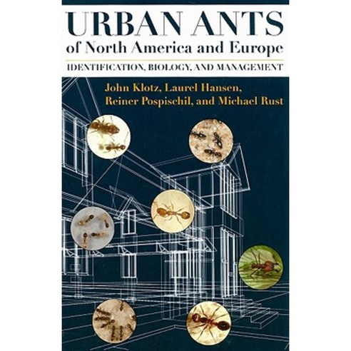 Urban Ants of North America and Europe: Identification Biology and Management Paperback, Comstock Publishing