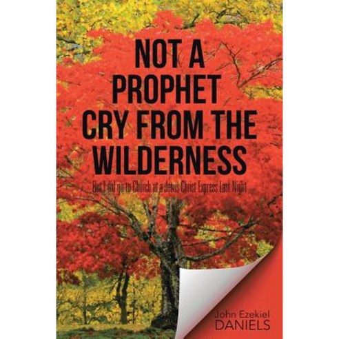 Not a Prophet Cry from the Wilderness: But I Did Go to Church at a Jesus Christ Express Last Night Paperback, WestBow Press