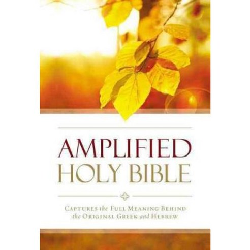 Amplified Outreach Bible Paperback: Capture the Full Meaning Behind the Original Greek and Hebrew Paperback, Zondervan