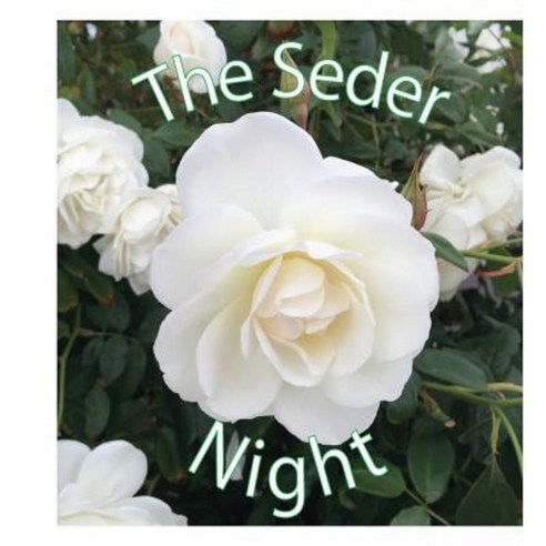 The Seder Night Paperback, Createspace Independent Publishing Platform
