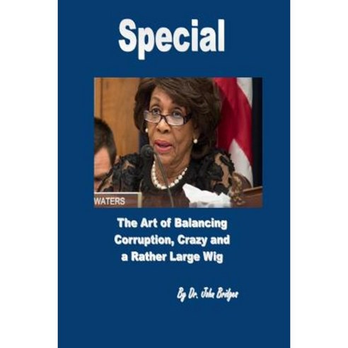 Special: The Art of Balancing Corruption Crazy and a Rather Large Wig Paperback, Createspace Independent Publishing Platform