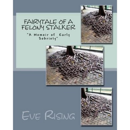 Fairytale of a Felony Stalker Paperback, Createspace Independent Publishing Platform