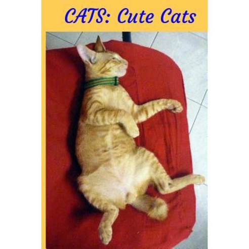 Cats: Cute Cats: Picture Book Paperback, Createspace Independent Publishing Platform