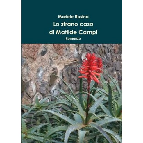 Lo Strano Caso Di Matilde Campi Paperback, Lulu.com