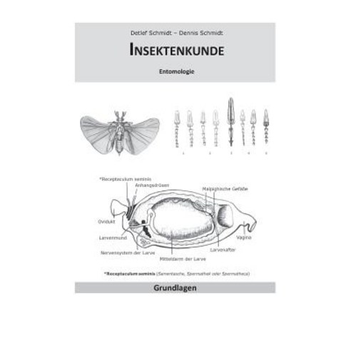 Insektenkunde Paperback, Books on Demand