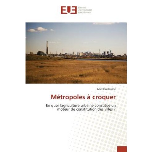 Metropoles a Croquer Paperback, Editions Universitaires Europeennes