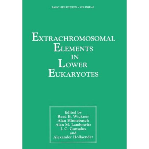 Extrachromosomal Elements in Lower Eukaryotes Paperback, Springer