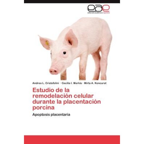 Estudio de La Remodelacion Celular Durante La Placentacion Porcina Paperback, Eae Editorial Academia Espanola