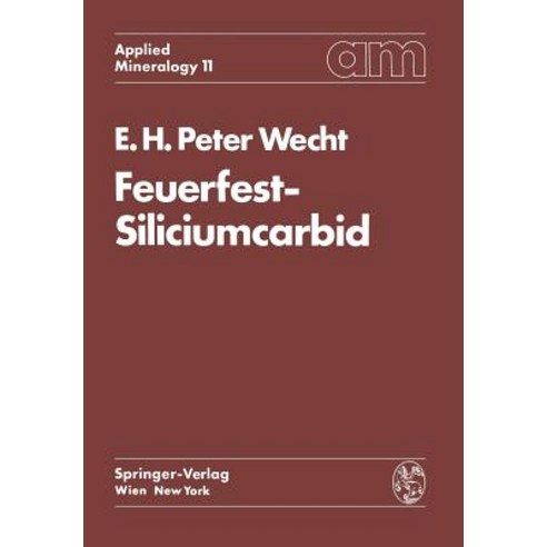 Feuerfest-Siliciumcarbid Paperback, Springer