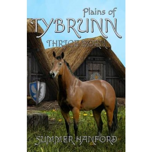 Plains of Tybrunn Paperback, Martin Sisters Publishing