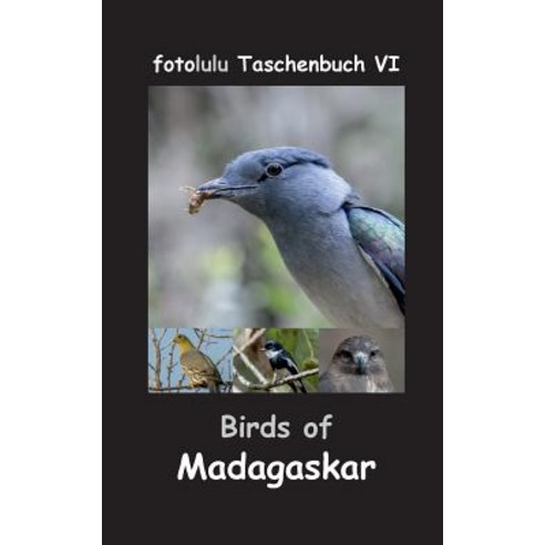 Birds of Madagaskar Paperback, Books on Demand