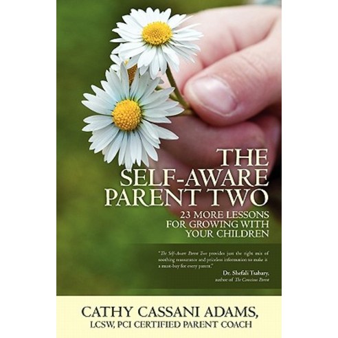 The Self-Aware Parent Two: 23 More Lessons for Growing with Your Children Paperback, Createspace Independent Publishing Platform