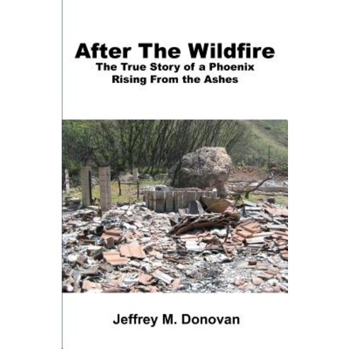 After the Wildfire: The True Story of a Phoenix Rising from the Ashes Paperback, Divinely Guided Publishing