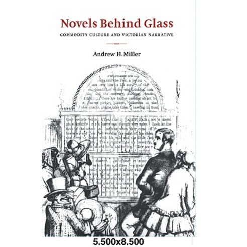 Novels Behind Glass: Commodity Culture and Victorian Narrative Paperback, Cambridge University Press