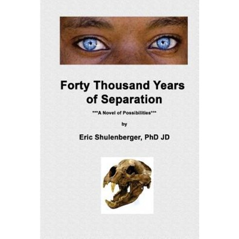 Forty Thousand Years of Separation: A Novel of Possibilities Paperback, Shulenberger Press
