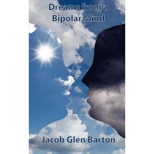 Dreams from a Bipolar Mind Paperback, Short on Time Books