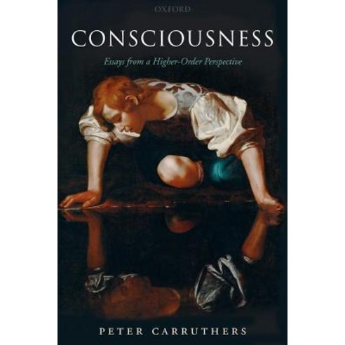Consciousness: Essays from a Higher-Order Perspective Paperback, OUP Oxford