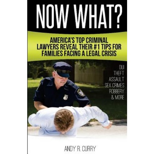 Now What?: America''s Top Criminal Lawyers Reveal Their #1 Tips for Families Facing a Legal Crisis Paperback, Seven Falls Publishing