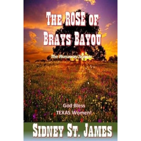 The Rose of Brays Bayou: The Runaway Scrape - The Sabine Shoot - The Great Runaway Paperback, Createspace Independent Publishing Platform