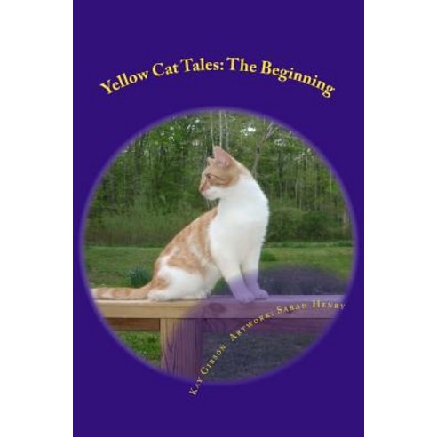 Yellow Cat Tales: The Beginning Paperback, Createspace Independent Publishing Platform