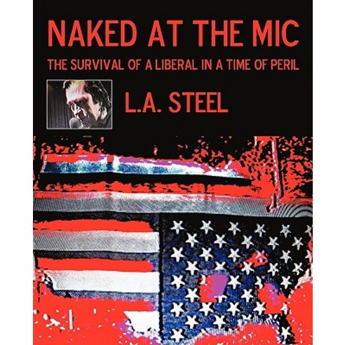 Naked at the MIC: The Survival of a Liberal in a Time of Peril Paperback, iUniverse