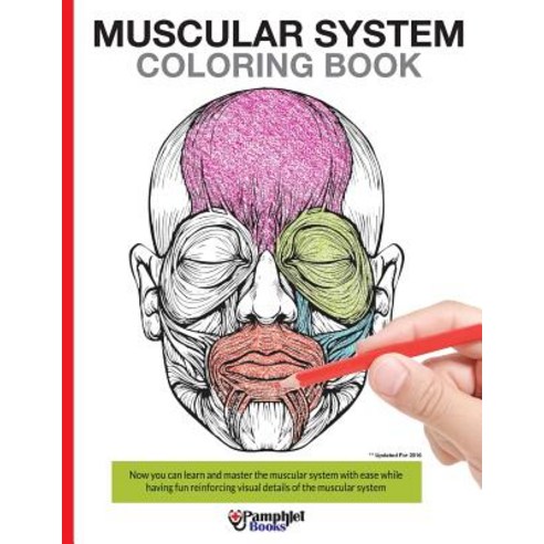 Muscular System Coloring Book: With Colored Illustrations Like What You See on the Back Page Paperback, Createspace Independent Publishing Platform