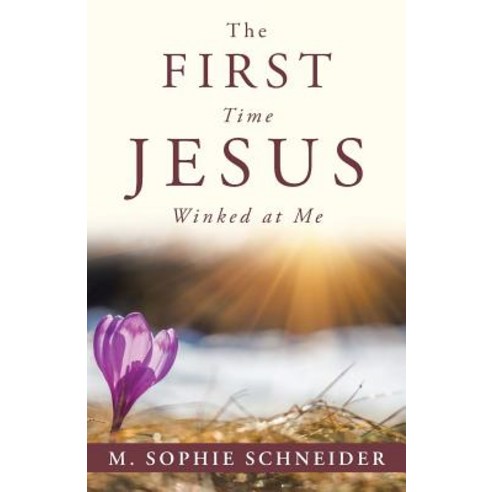 The First Time Jesus Winked at Me Paperback, Balboa Press