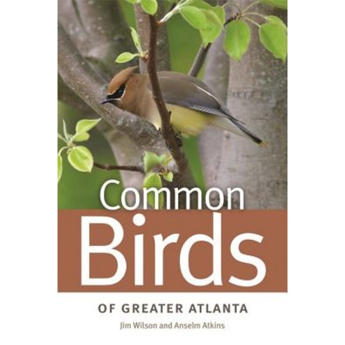 Common Birds of Greater Atlanta Paperback, University of Georgia Press