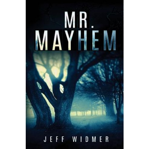 Mr. Mayhem: A Brinker Novel Paperback, Jeff Widmer