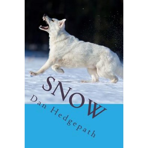Snow: A Sean Tzu Mystery Thriller Paperback, Createspace Independent Publishing Platform