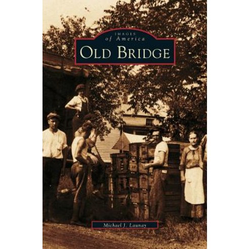 Old Bridge Hardcover, Arcadia Publishing Library Editions