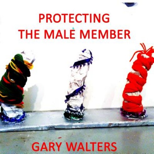 Protecting the Male Member Paperback, Createspace Independent Publishing Platform